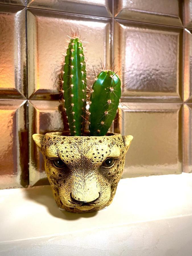 Coralcanteras Loft Las Palmas de Gran Canaria Eksteriør billede